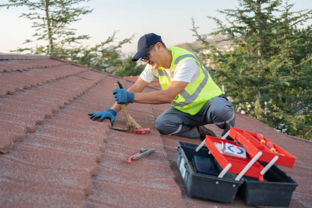 Best Roof Gutter Cleaning  in Hartford, WI